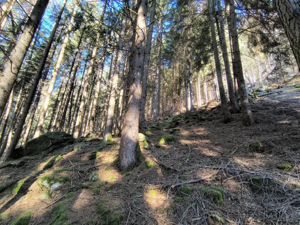 img20250204135511306hdr.jpg
