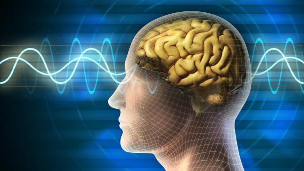 Brain waves